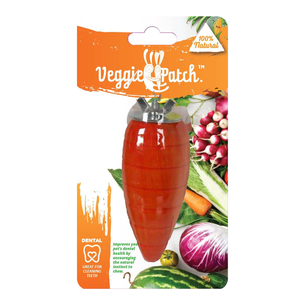 Veggie Patch Carrot To Gnaw 