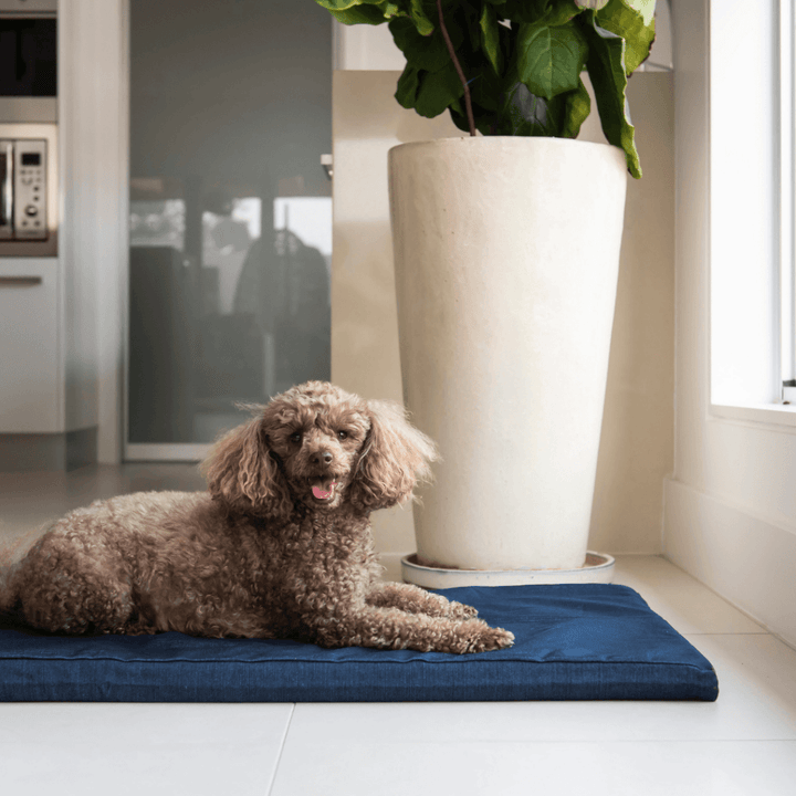 Superior Pet Goods Denim Mat Jumbo