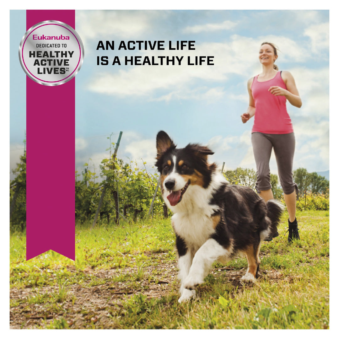 Eukanuba K9 Adult 15kg 