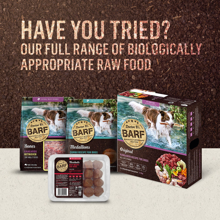 Doctor B's Barf For Cats Turkey 115gx12