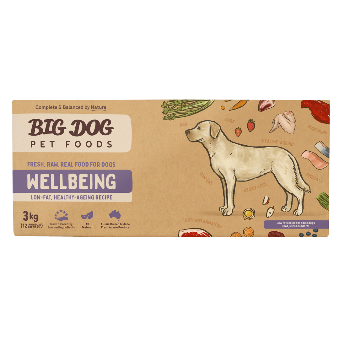 Big Dog Barf Wellbeing 3kg