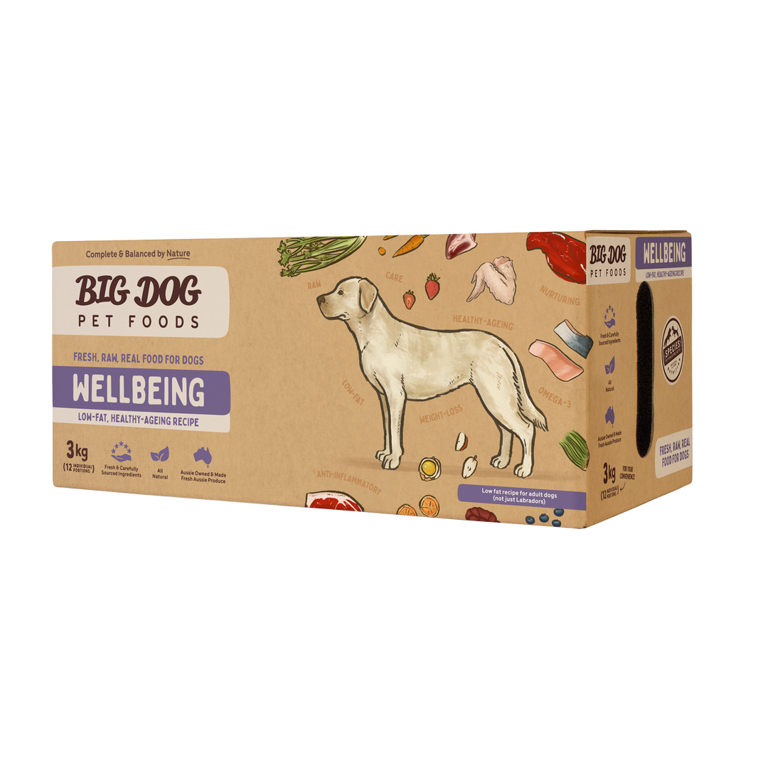 Big Dog Barf Wellbeing 3kg