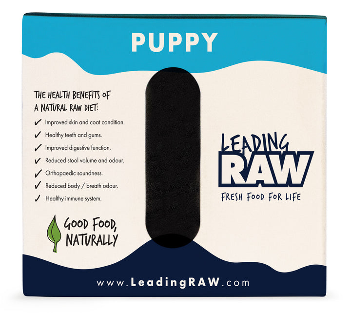 Big Dog Leading Raw Puppy 2.72kg