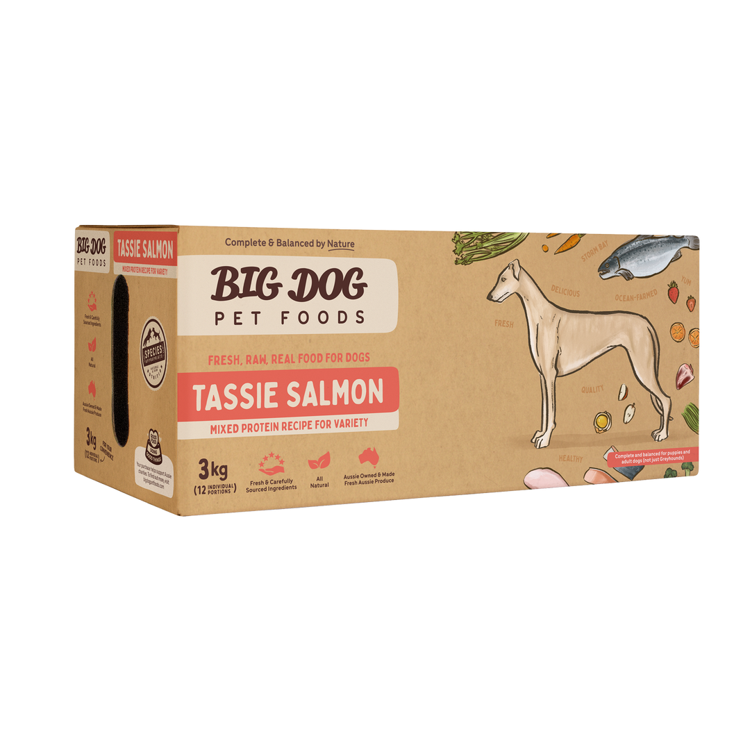 Big Dog Barf Tasmanian Salmon 3kg