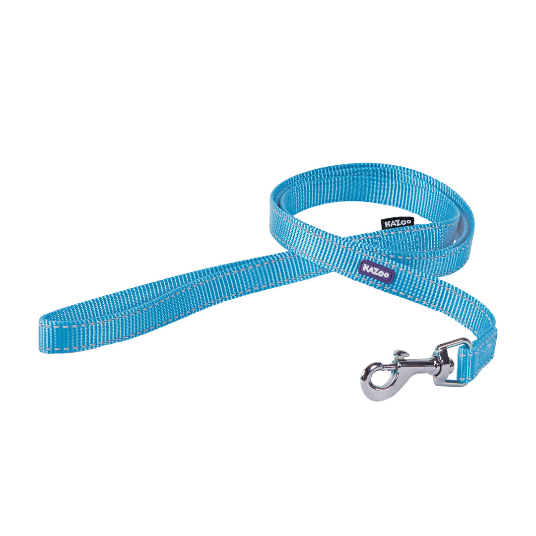 Kazoo Lead Nylon Classic Aqua 15w X 120l