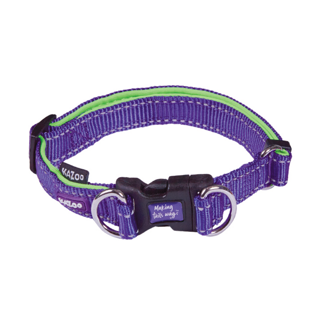 Kazoo Collar Nylon Adjustable Medium Active Purple/lime 28-40 Neck