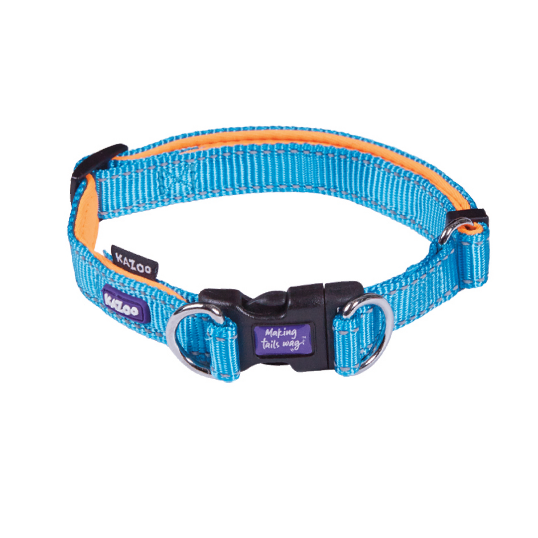 Kazoo Collar Nylon Adjustable Medium Active Ocean Sunrise 28-40 Neck