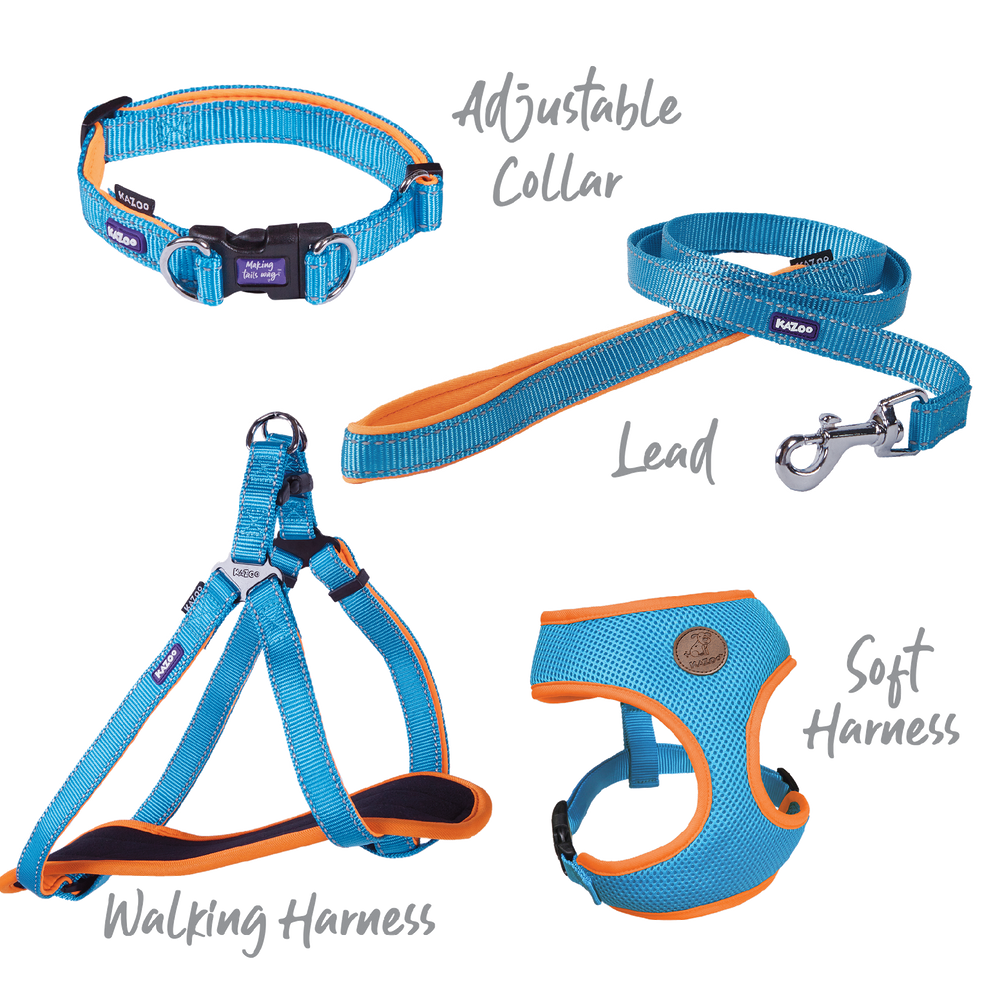 Kazoo Collar Nylon Adjustable Large Active Ocean Sunrise 37-55 Neck