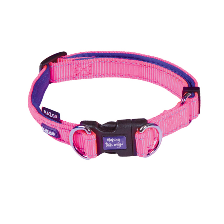 Kazoo Collar Nylon Adjustable Medium Active Bloom Burst 28-40 Neck