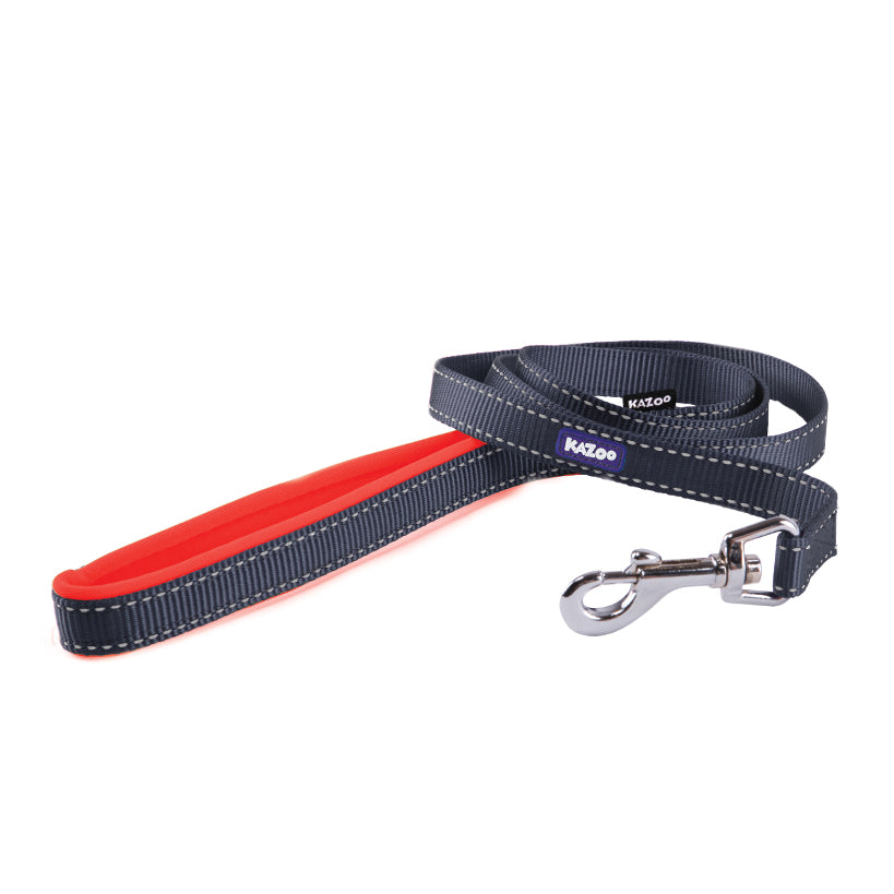 Kazoo Lead Nylon Active Slate/orange 15w X 120l