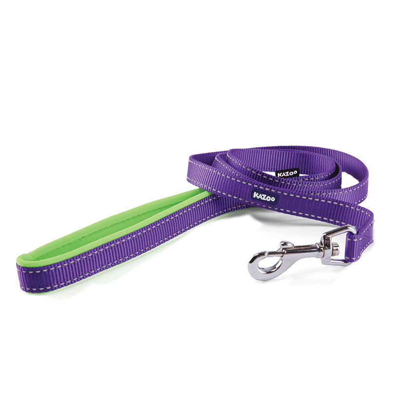 Kazoo Lead Nylon Active Purple/lime 15w X 120l