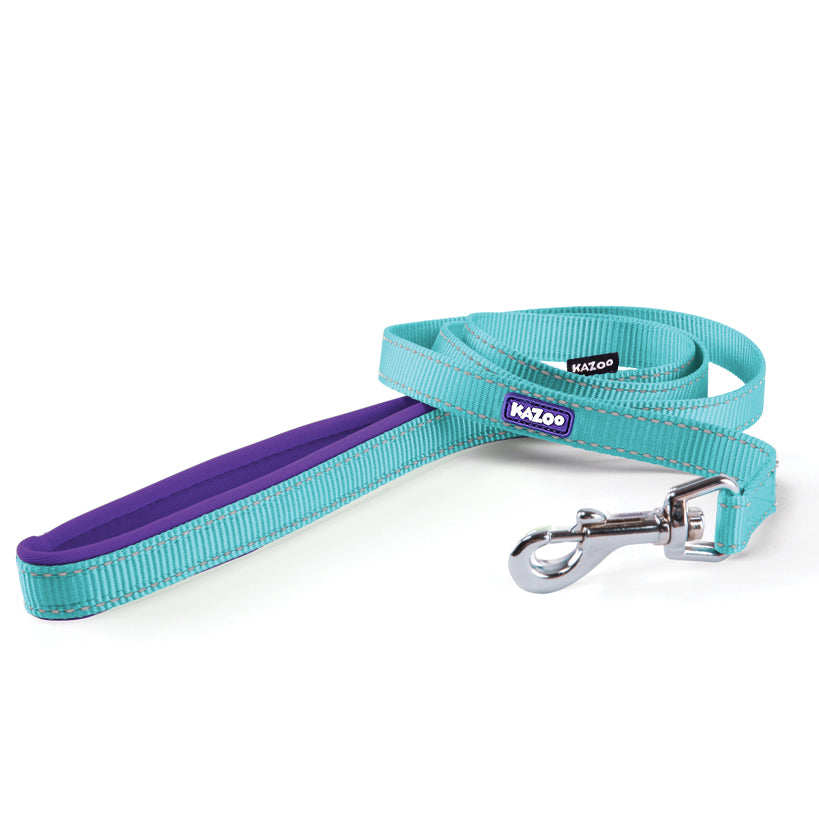 Kazoo Lead Nylon Active Aqua/purple 15w X 120l