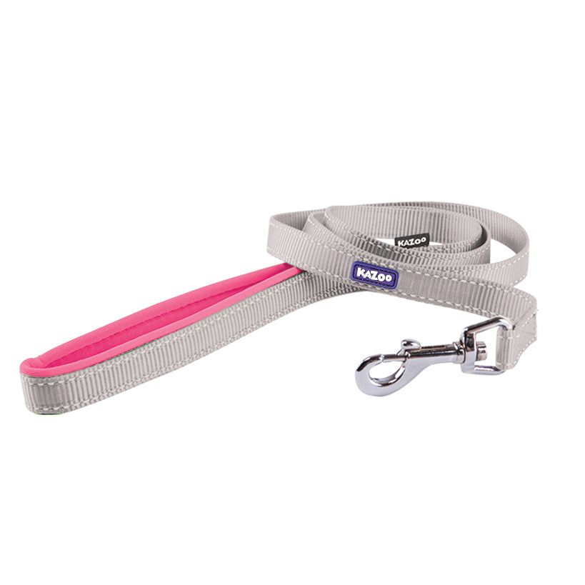 Kazoo Lead Nylon Active Silver/pink 15w X 180l