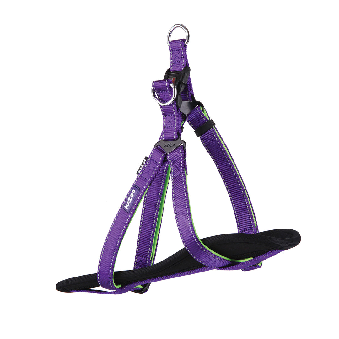 Kazoo Harness Nylon Active Large/x-large Purple/lime