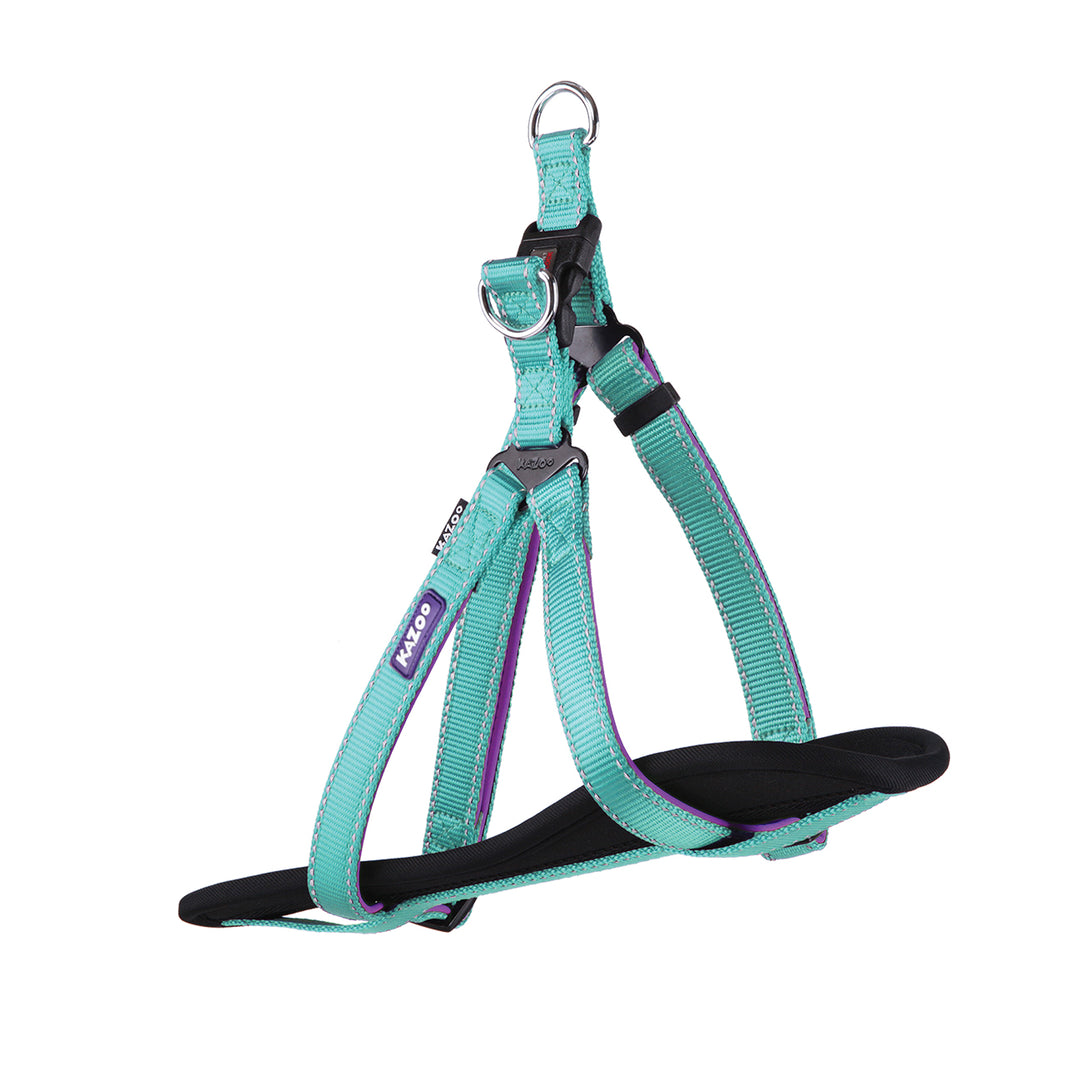 Kazoo Harness Nylon Active Small Aqua/purple