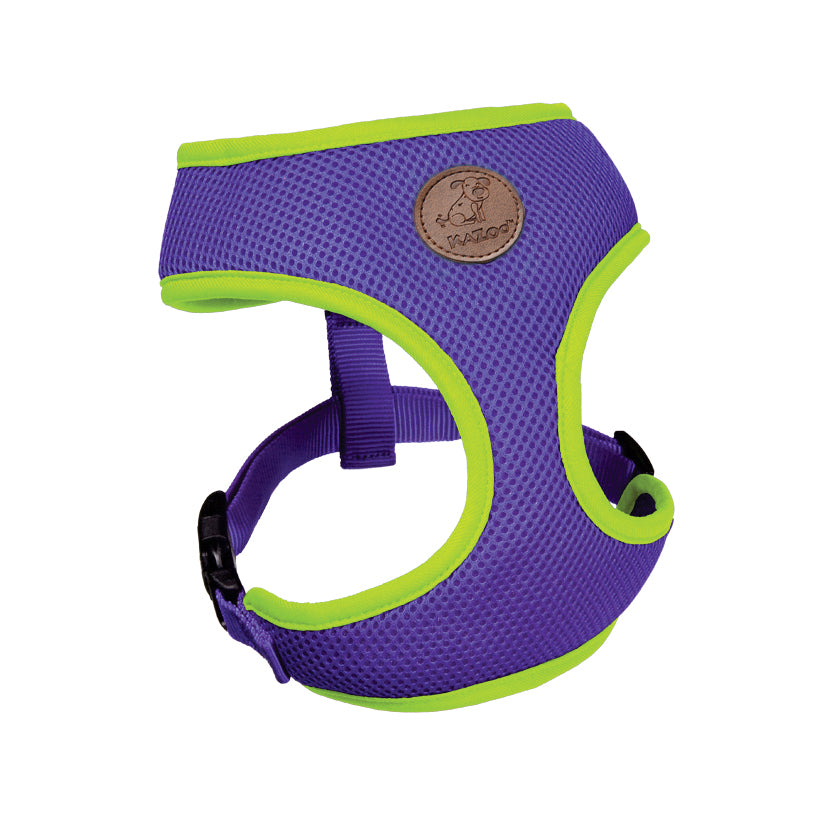 Kazoo Harness Soft Active Toy/puppy Purple/lime