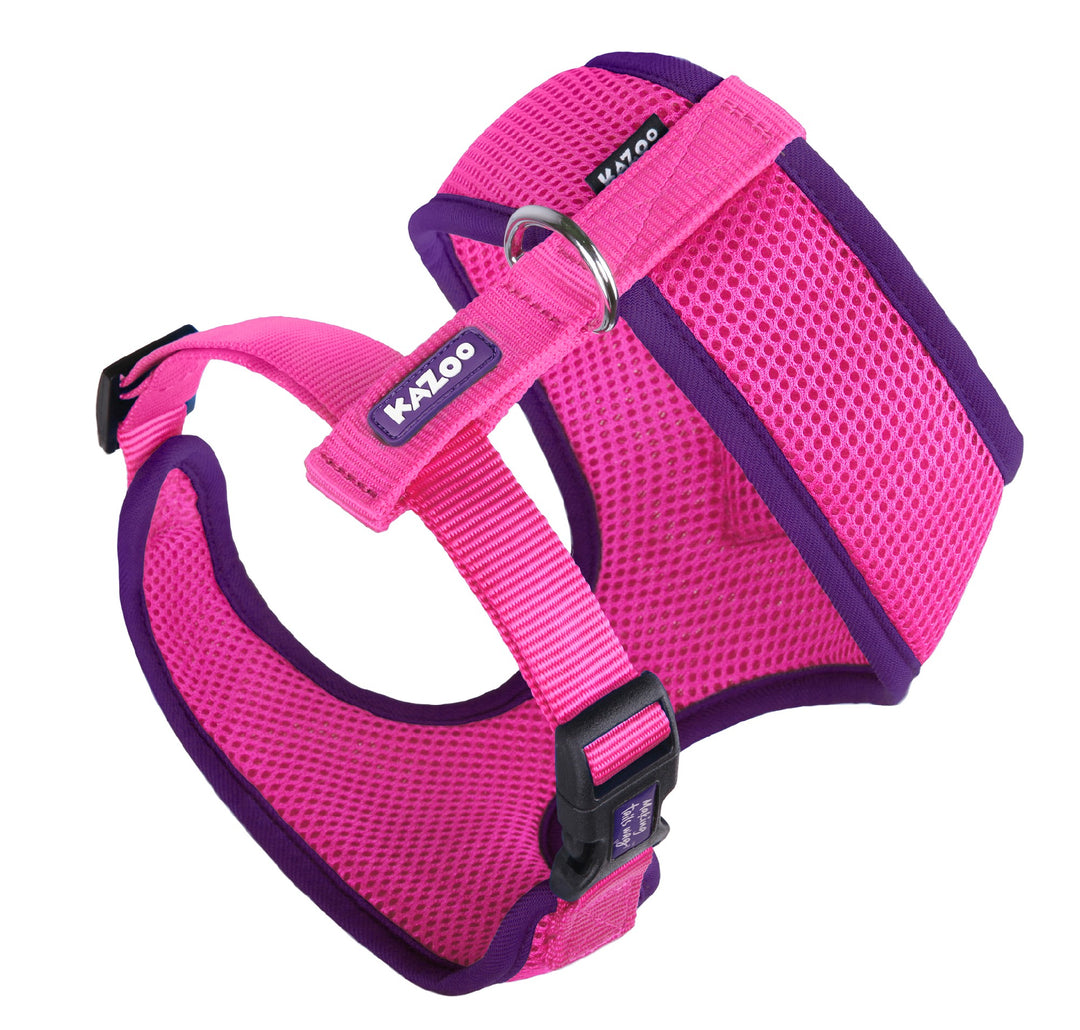 Kazoo Harness Soft Active Toy/puppy Bloom Burst