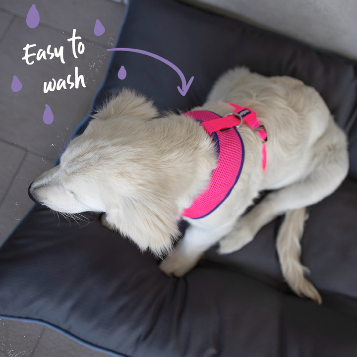 Kazoo Harness Soft Active Xxs Bloom Burst