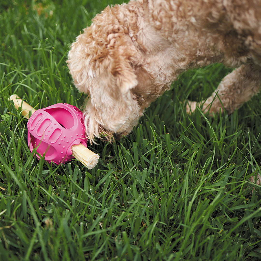 Kazoo Dog Toy Chew & Treat Ball - Large