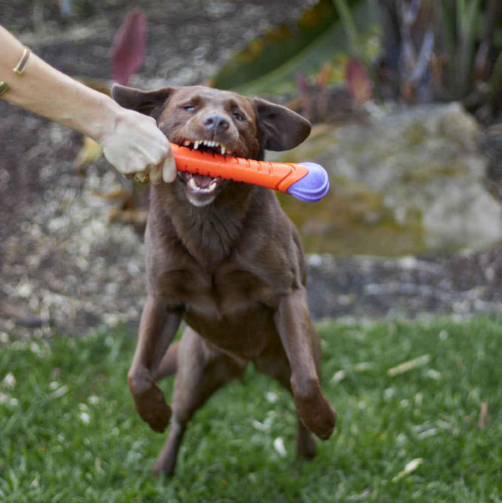 Kazoo Dog Toy Extreme Play Chew Stick Large