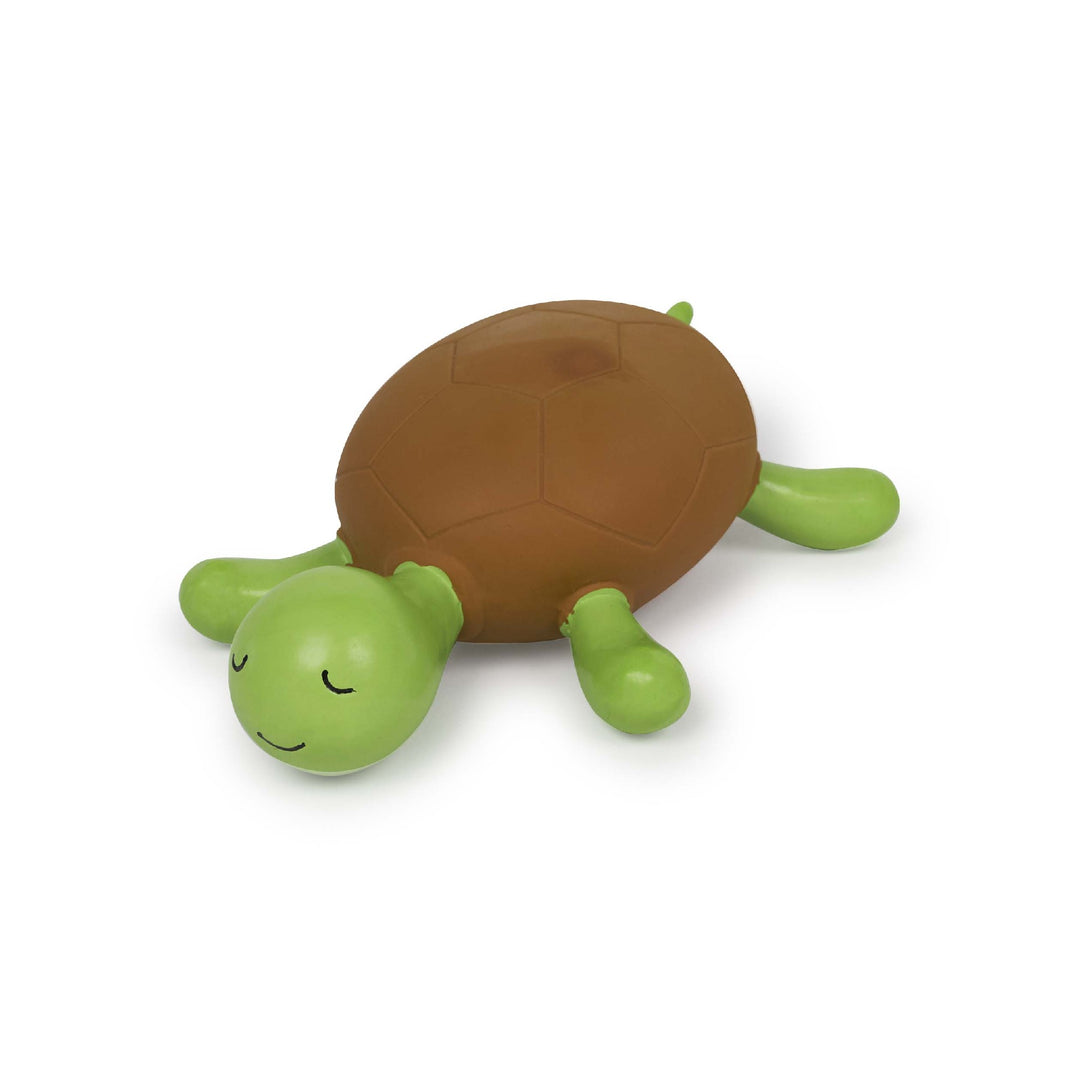 Kazoo Latex Turtle - Medium