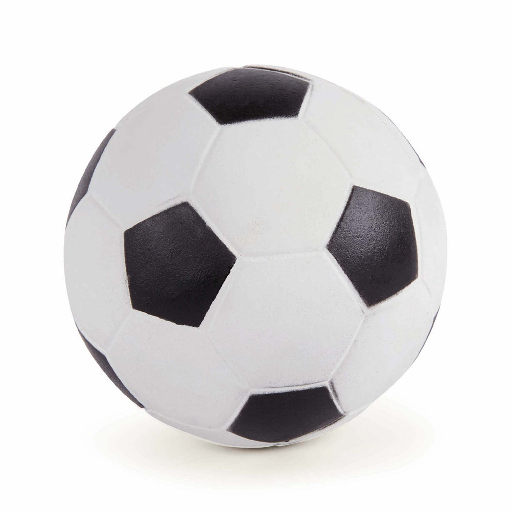 Kazoo Sports Ball Large