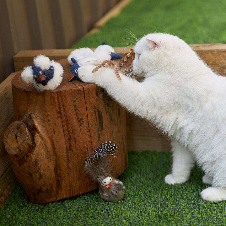 Kazoo Cat Toy Wobble Bird