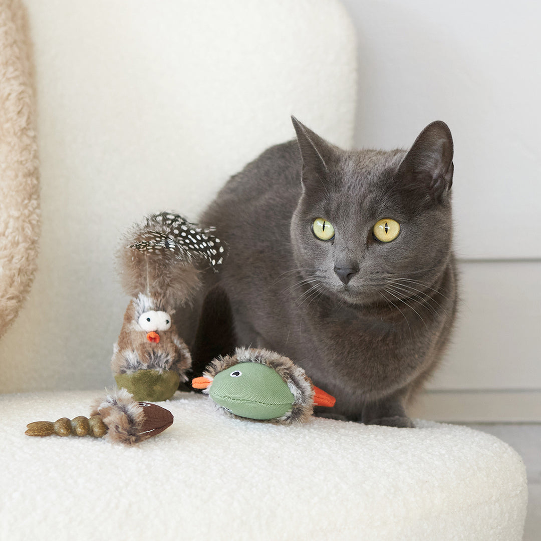 Kazoo Cat Toy Wobble Bird