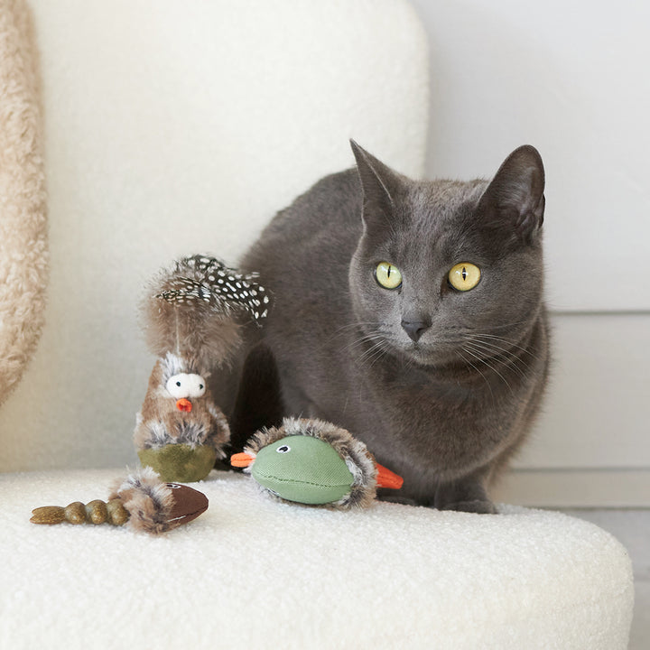 Kazoo Cat Toy Wobble Bird