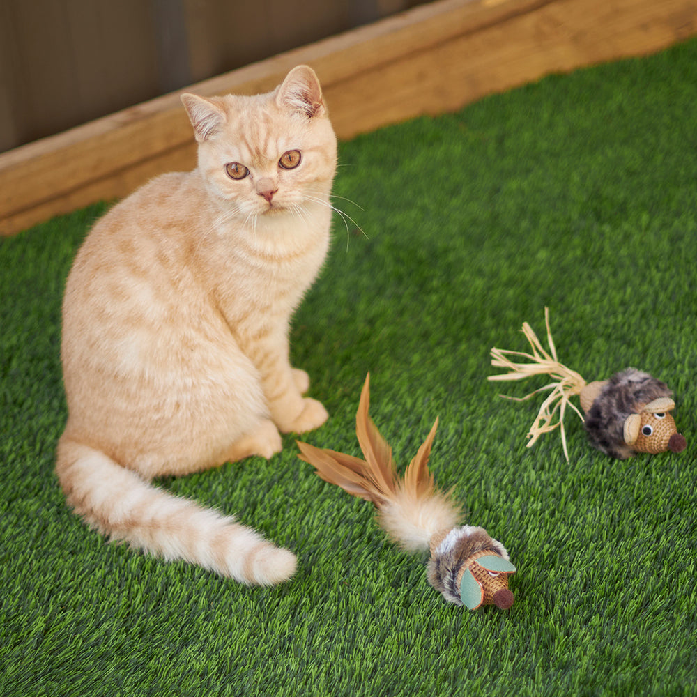 Kazoo Cat Toy Scruffy Mouse