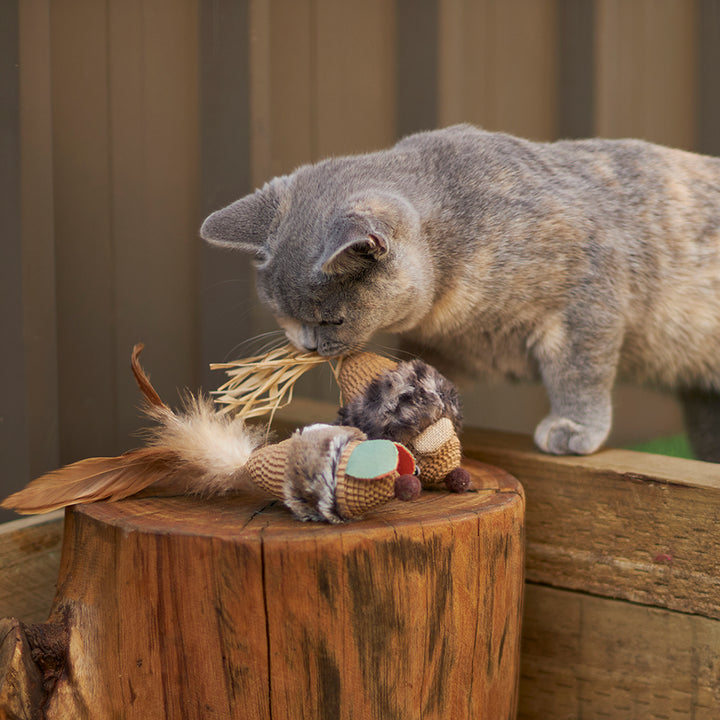 Kazoo Cat Toy Scruffy Mouse