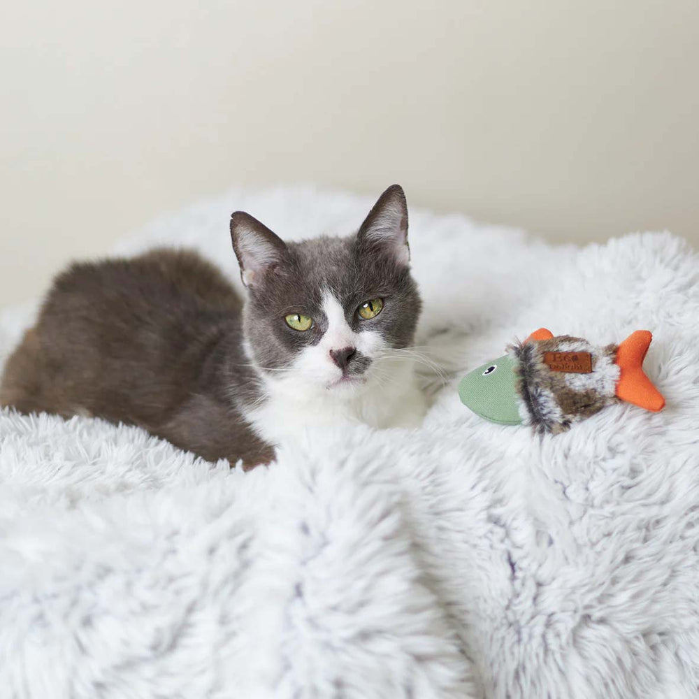 Kazoo Cat Toy Squishy Fish