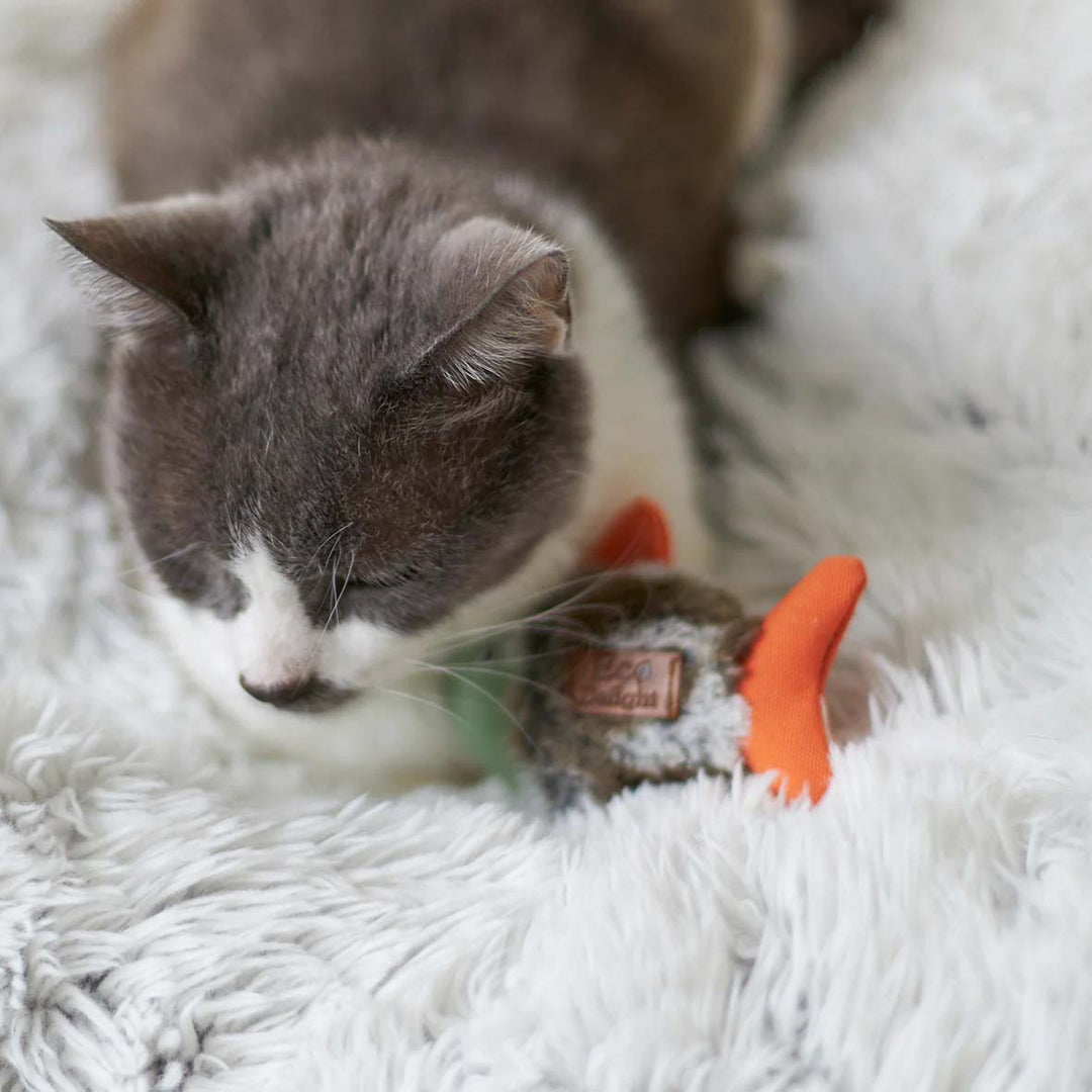 Kazoo Cat Toy Squishy Fish