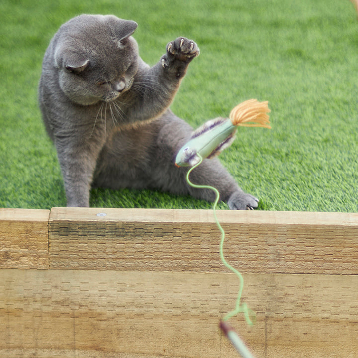 Kazoo Cat Toy Play Wand Fantail Bird
