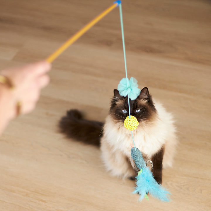 Kazoo Cat Toy Play Wand Bluebird