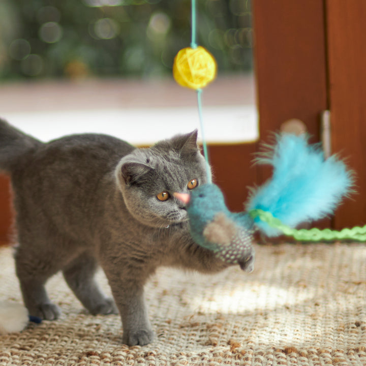 Kazoo Cat Toy Play Wand Bluebird