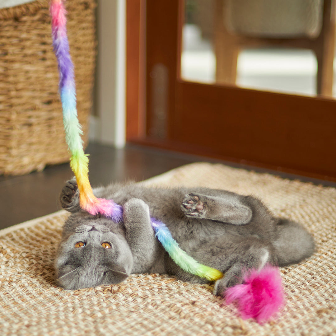 Kazoo Cat Toy Play Wand Fluffy Rainbow Tail