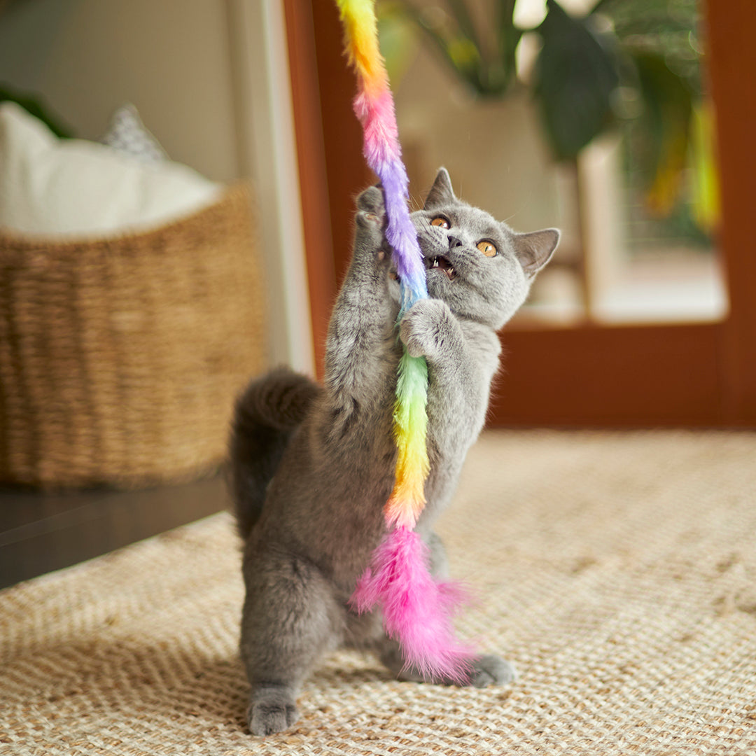 Kazoo Cat Toy Play Wand Fluffy Rainbow Tail