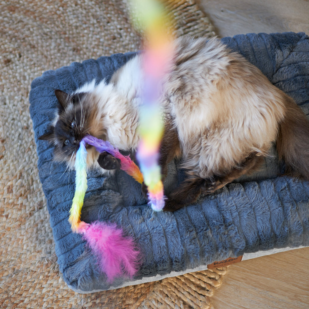 Kazoo Cat Toy Play Wand Fluffy Rainbow Tail