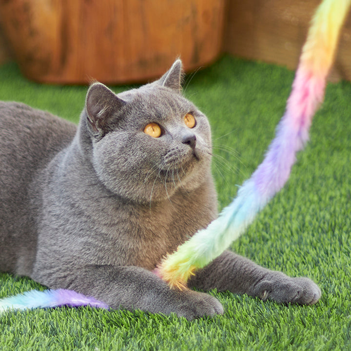 Kazoo Cat Toy Play Wand Fluffy Rainbow Tail