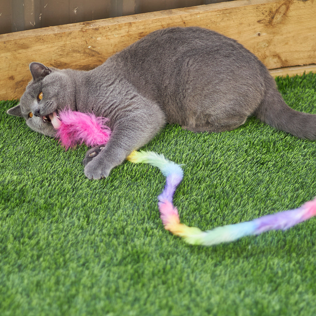 Kazoo Cat Toy Play Wand Fluffy Rainbow Tail