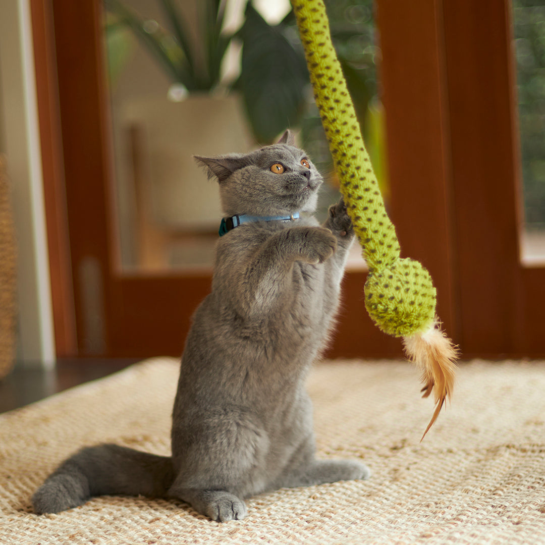 Kazoo Cat Toy Play Wand Spotty Snake