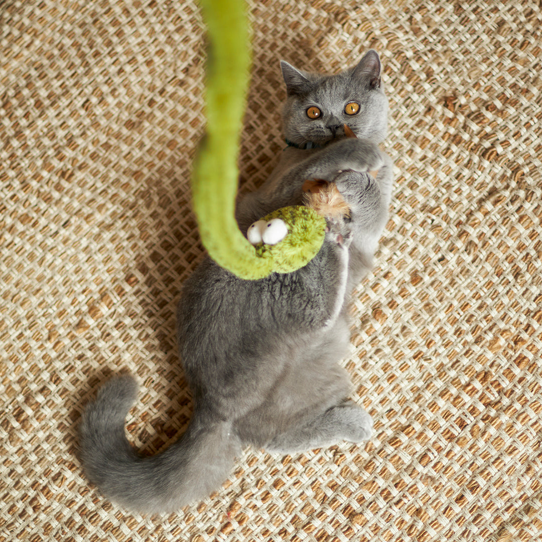 Kazoo Cat Toy Play Wand Spotty Snake