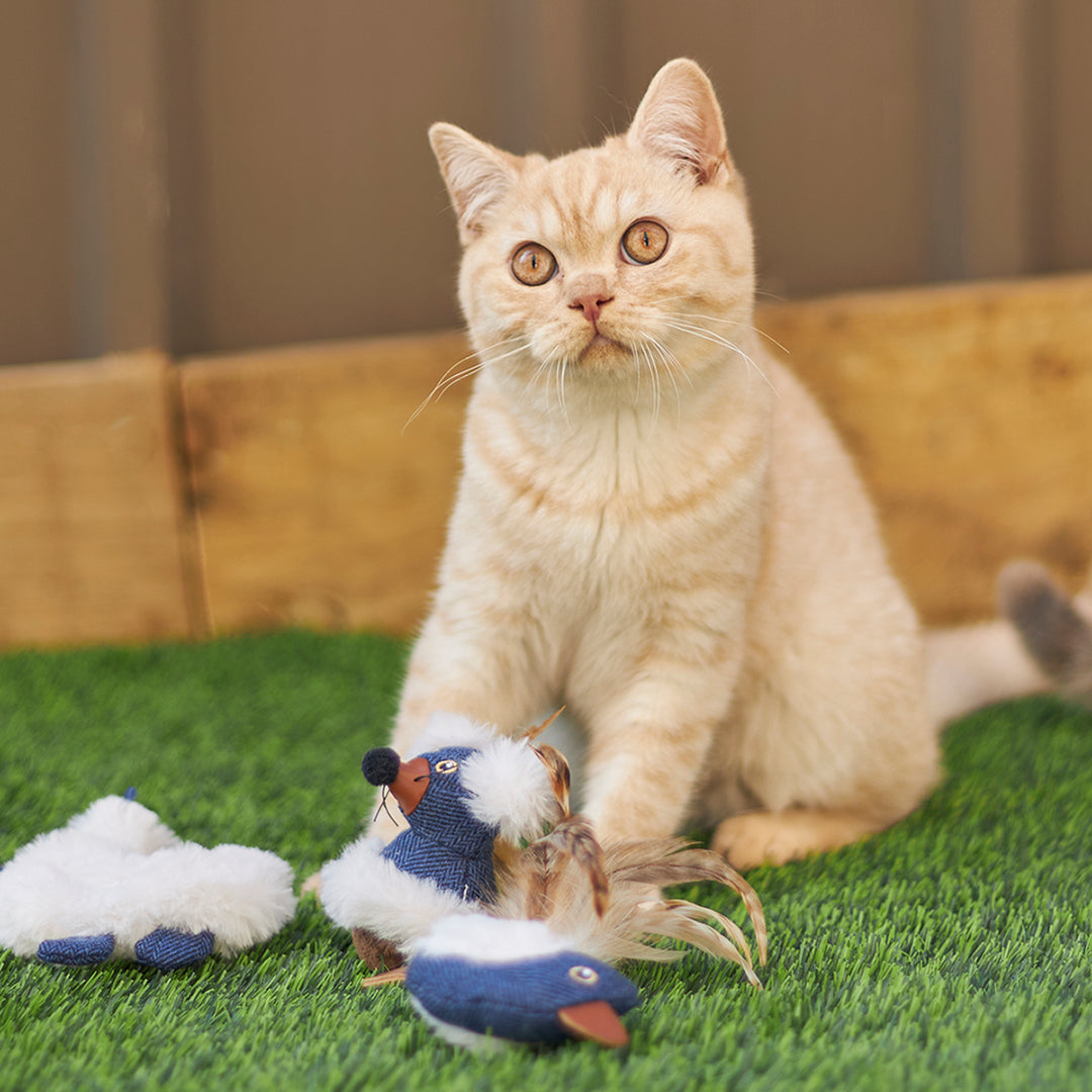 Kazoo Cat Toy Wobble Mouse