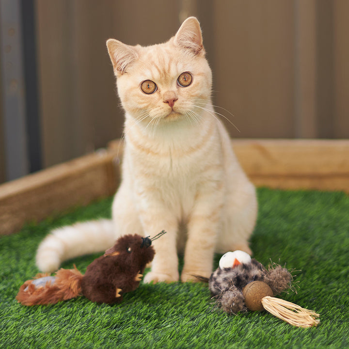 Kazoo Cat Toy Squishy Squirrel