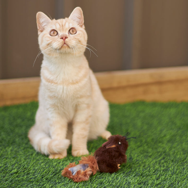 Kazoo Cat Toy Squishy Squirrel