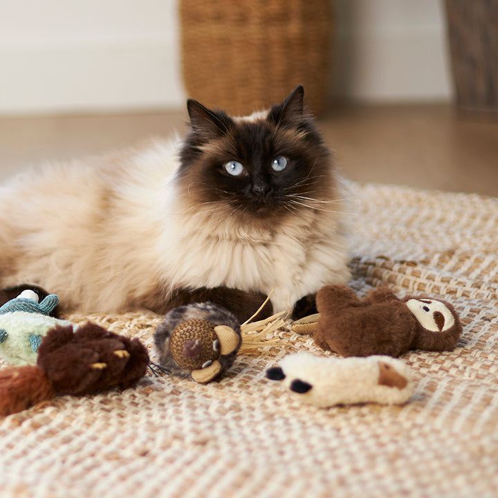 Kazoo Cat Toy Love A Llama W Catnip