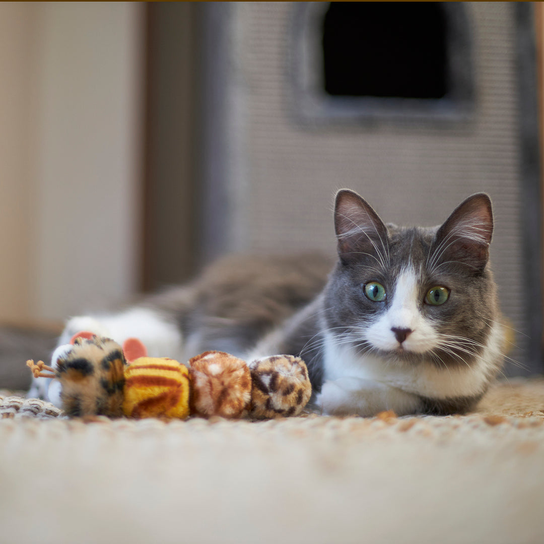 Kazoo Cat Toy Velcro Worm