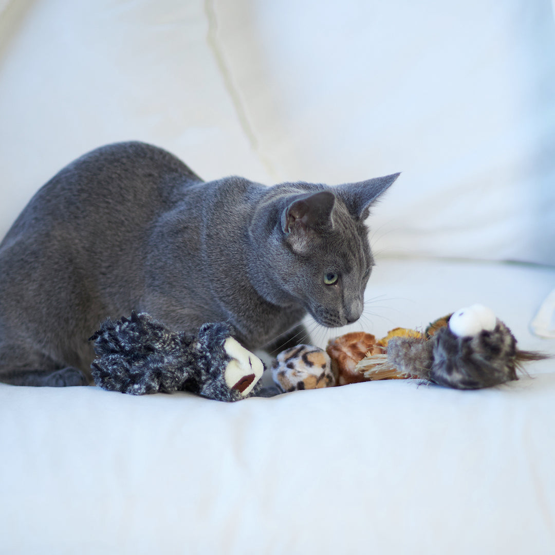 Kazoo Cat Toy Velcro Worm