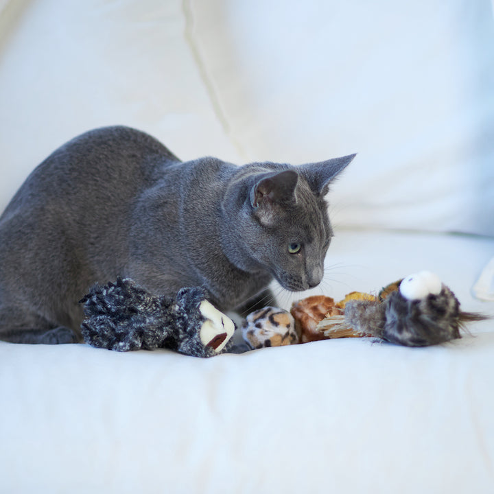 Kazoo Cat Toy Velcro Worm